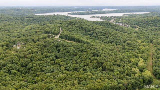 000 Nutall Oak Dr, Sunrise Beach, MO 65079 - photo 18