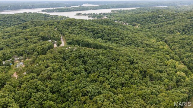 000 Nutall Oak Dr, Sunrise Beach, MO 65079 - photo 19