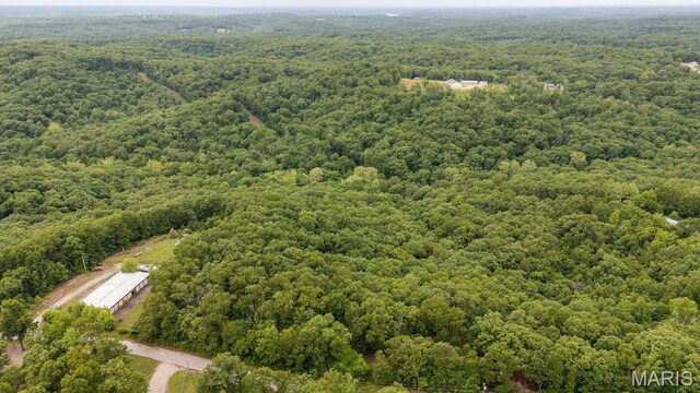 000 Nutall Oak Dr, Sunrise Beach, MO 65079 - photo 20
