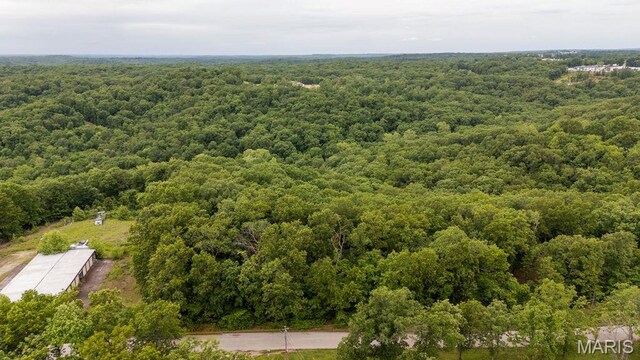 000 Nutall Oak Dr, Sunrise Beach, MO 65079 - photo 21