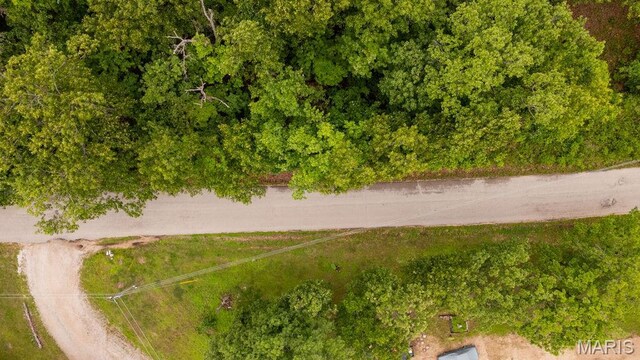 000 Nutall Oak Dr, Sunrise Beach, MO 65079 - photo 22