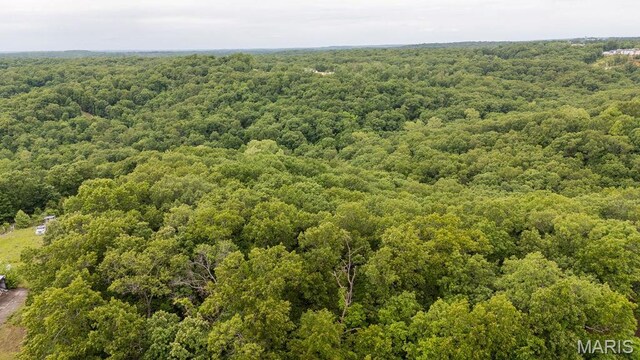 000 Nutall Oak Dr, Sunrise Beach, MO 65079 - photo 23