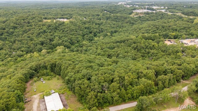 000 Nutall Oak Dr, Sunrise Beach, MO 65079 - photo 24