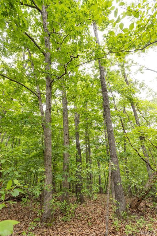 000 Nutall Oak Dr, Sunrise Beach, MO 65079 - photo 25