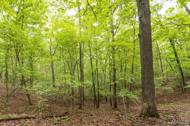 000 Nutall Oak Dr, Sunrise Beach, MO 65079 - photo 29