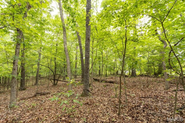 000 Nutall Oak Dr, Sunrise Beach, MO 65079 - photo 35