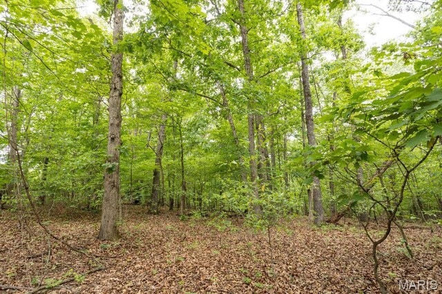 000 Nutall Oak Dr, Sunrise Beach, MO 65079 - photo 37
