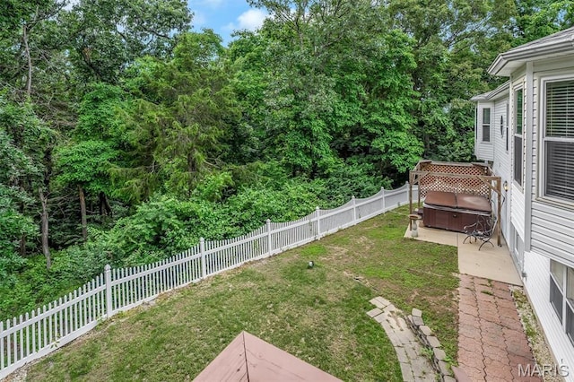 3001 Peach Blossom Ct, High Ridge, MO 63049 - fenced backyard featuring a hot tub and a patio area