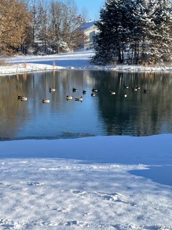 11400 Macs Cove Dr, Wright City, MO 63390 - water view