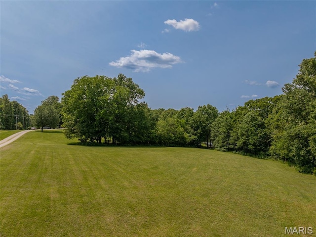 11400 Macs Cove Dr, Wright City, MO 63390 - view of green lawn