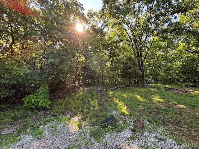 11142 E State Highway 47, Cadet, MO 63630 - view of local wilderness
