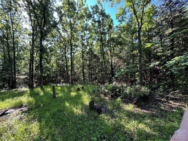 11142 E State Highway 47, Cadet, MO 63630 - view of wooded area