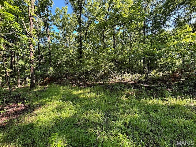 11142 E State Highway 47, Cadet, MO 63630 - view of undeveloped land