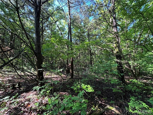 11142 E State Highway 47, Cadet, MO 63630 - view of undeveloped land