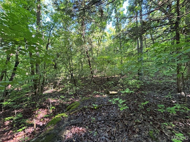 11142 E State Highway 47, Cadet, MO 63630 - view of wooded area