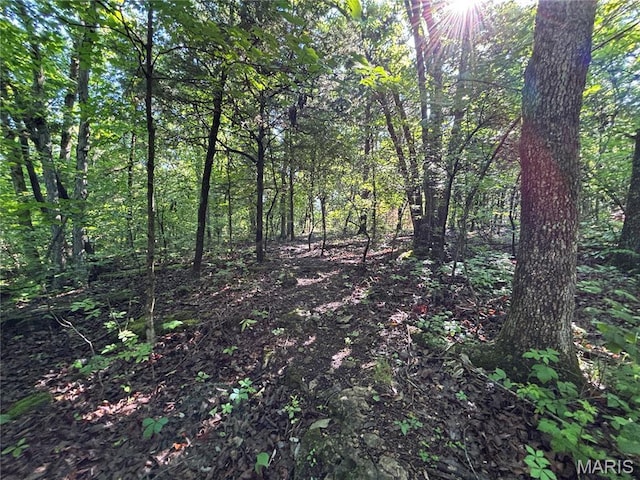 11142 E State Highway 47, Cadet, MO 63630 - view of woods