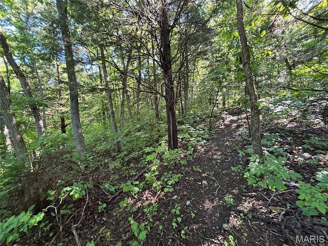 11142 E State Highway 47, Cadet, MO 63630 - view of tree filled area
