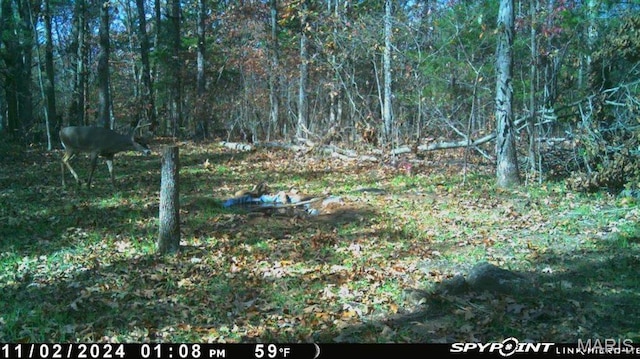 11142 E State Highway 47, Cadet, MO 63630 - view of tree filled area