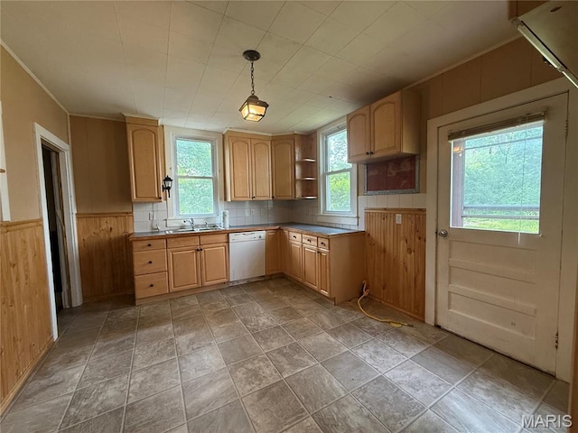 417 N Section St, Hannibal, MO 63401 - kitchen with dishwasher, healthy amount of natural light, a sink, open shelves, and wooden walls