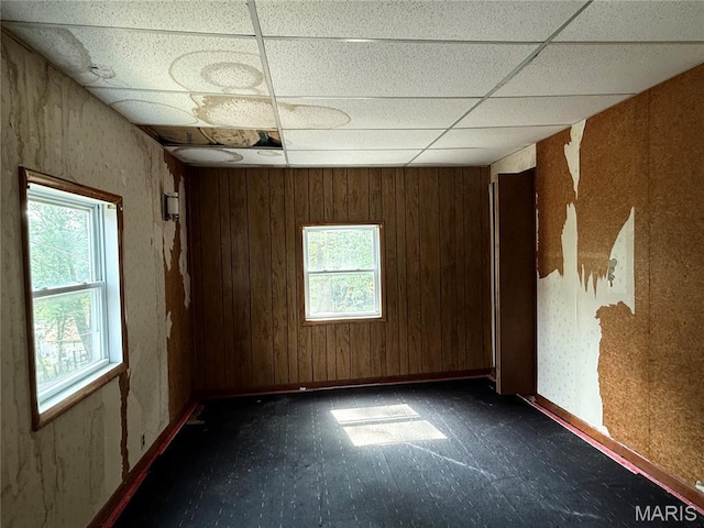 417 N Section St, Hannibal, MO 63401 - empty room featuring plenty of natural light, a drop ceiling, and wood walls