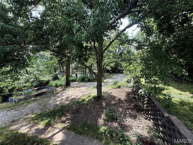 417 N Section St, Hannibal, MO 63401 - view of yard with a garden