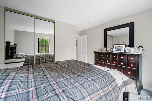 12958 Bryce Canyon Dr Unit C, Maryland Heights, MO 63043 - bedroom with carpet and a closet