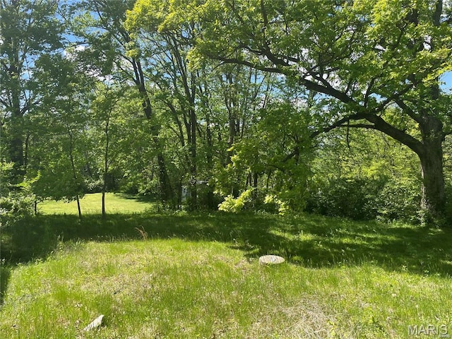 1925 W Woodbine Ave, Kirkwood, MO 63122 - view of yard