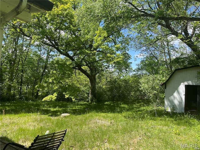 1925 W Woodbine Ave, Kirkwood, MO 63122 - view of yard