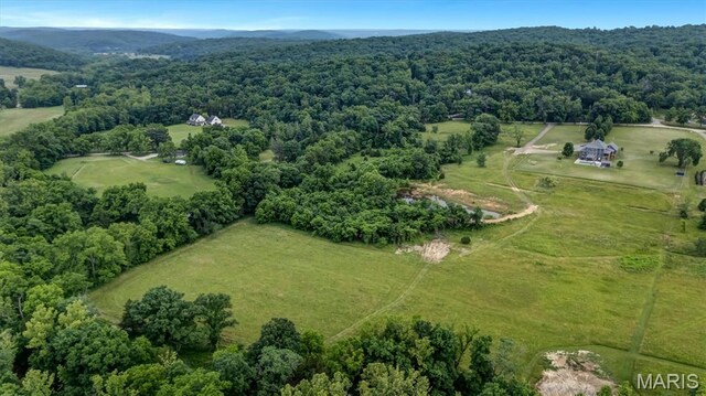 4411 Rock Rd, Bourbon, MO 65441 - photo 67