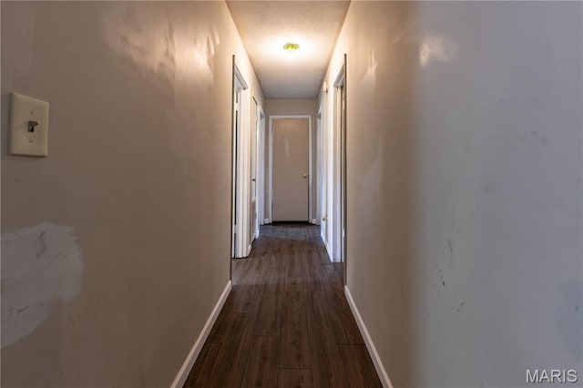 141 Saint Catherine Ln, New Madrid, MO 63869 - hallway featuring dark wood-style flooring and baseboards