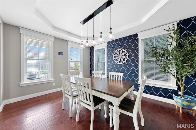3204 Hadrian St, Saint Charles, MO 63301 - dining space with a raised ceiling, plenty of natural light, and baseboards