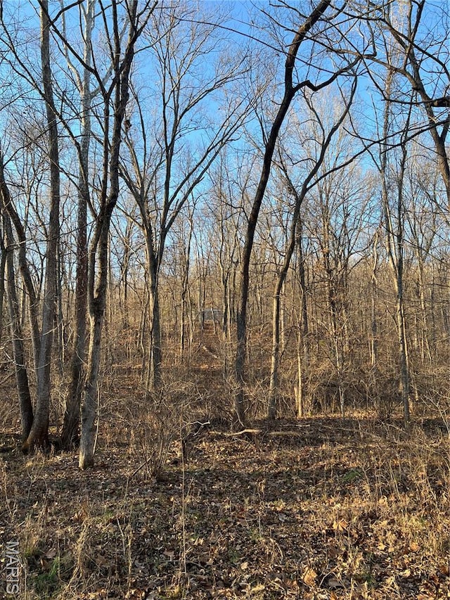 5267 Whittaker Rd, French Village, MO 63036 - photo 2