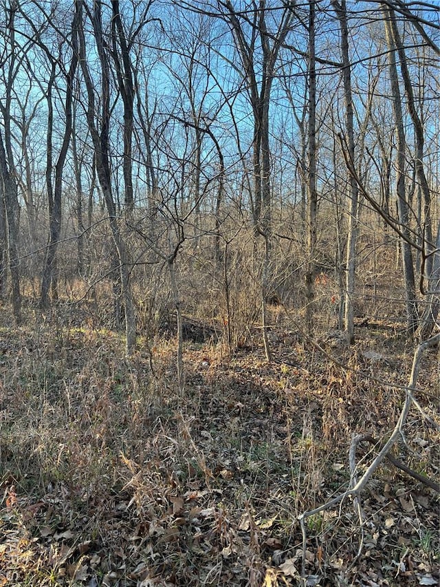 5267 Whittaker Rd, French Village, MO 63036 - photo 3