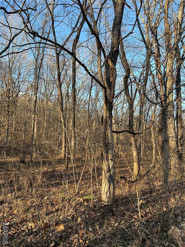 5267 Whittaker Rd, French Village, MO 63036 - photo 4