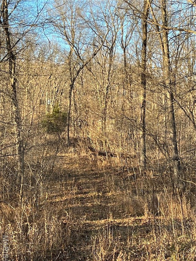 5267 Whittaker Rd, French Village, MO 63036 - photo 5