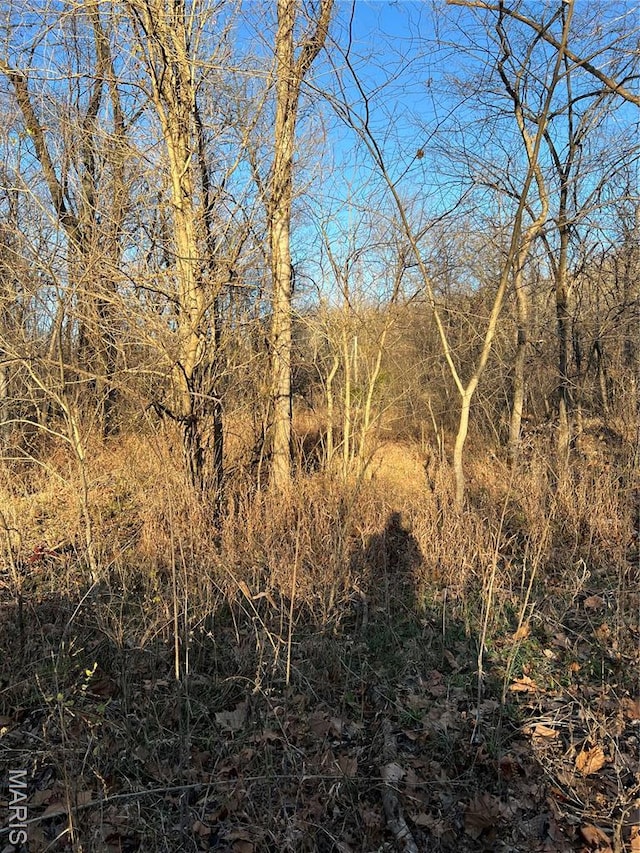 5267 Whittaker Rd, French Village, MO 63036 - photo 6