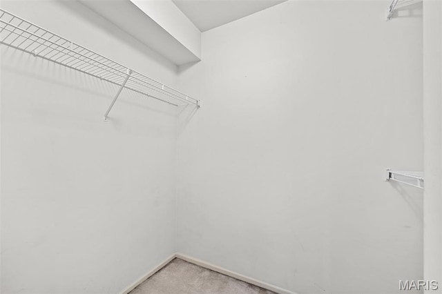 4505 Sherman Park Dr, Saint Charles, MO 63303 - spacious closet featuring light carpet