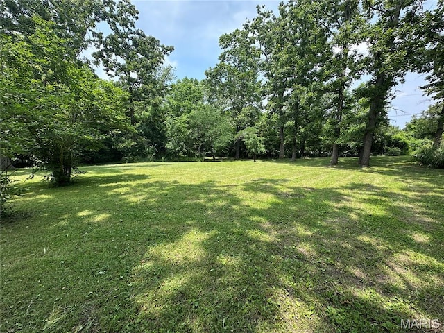 1 Timber Ln, Salem, MO 65560 - view of green lawn