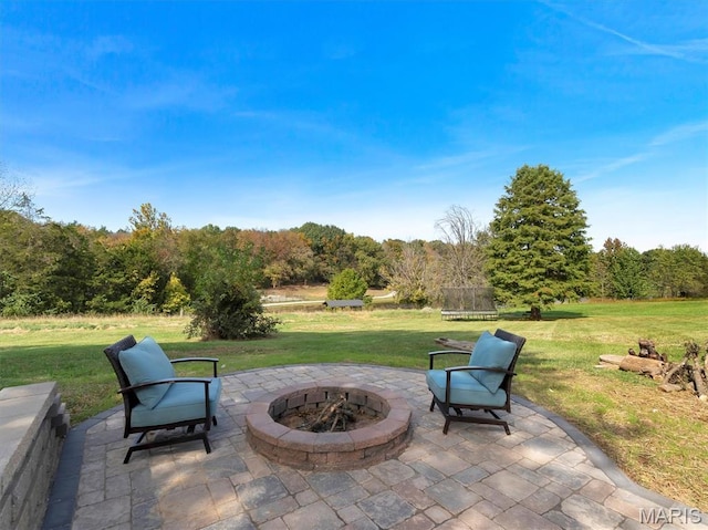 2161 Young Rd, Pacific, MO 63069 - photo 41