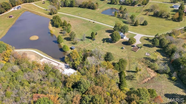 2161 Young Rd, Pacific, MO 63069 - photo 54