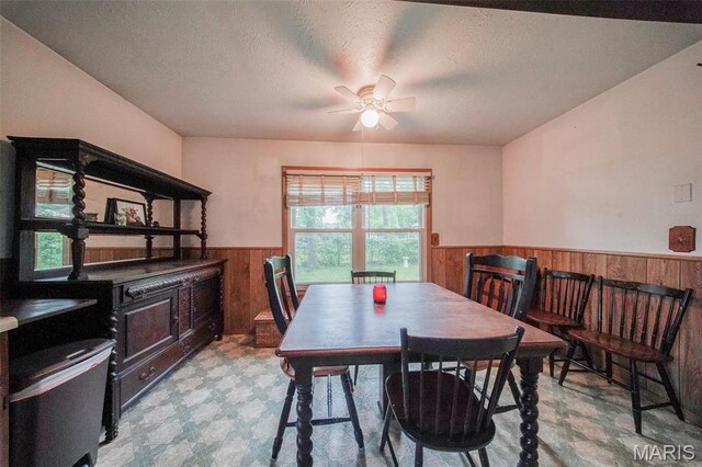 103 S Ellen St, Dixon, MO 65459 - photo 11