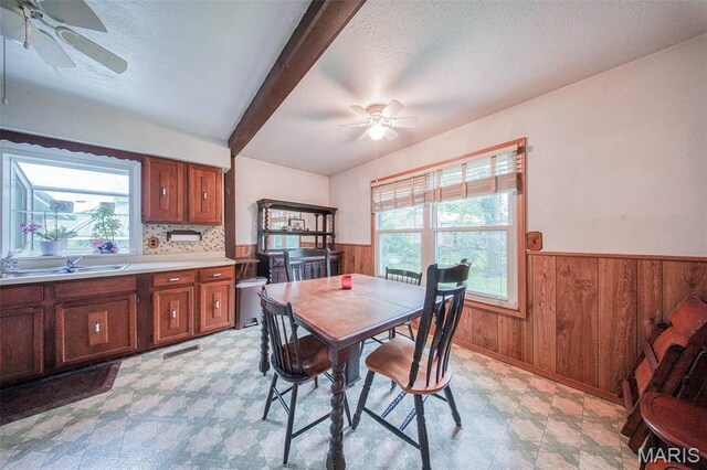 103 S Ellen St, Dixon, MO 65459 - photo 12