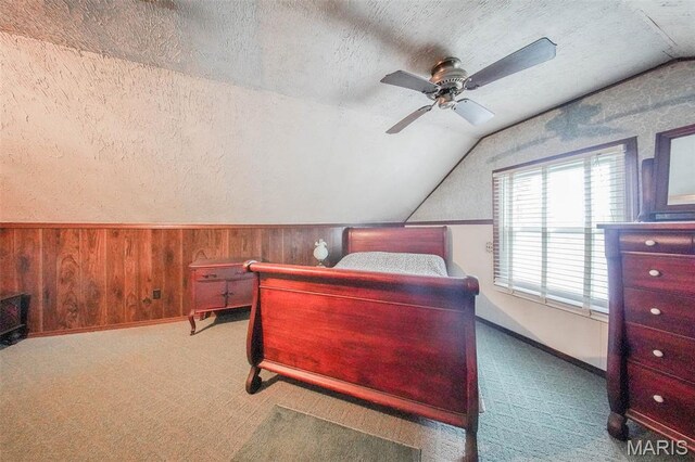 103 S Ellen St, Dixon, MO 65459 - photo 19
