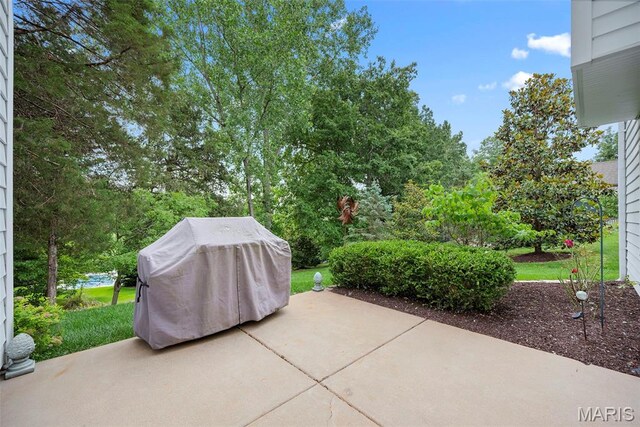 336 Pine Bend Dr, Wildwood, MO 63005