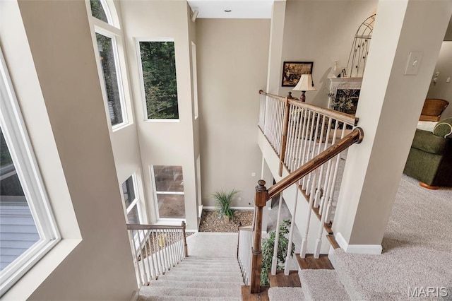 17478 Radcliffe Place Dr, Wildwood, MO 63025 - photo 19