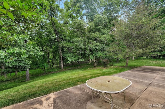 17478 Radcliffe Place Dr, Wildwood, MO 63025 - photo 33