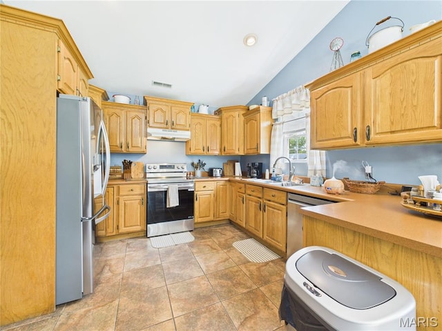 4862 State Highway 142e, Doniphan, MO 63935 - kitchen featuring appliances with stainless steel finishes, under cabinet range hood, a sink, lofted ceiling, and light countertops