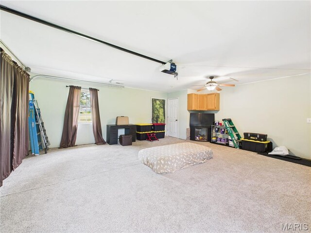 4862 State Highway 142e, Doniphan, MO 63935 - garage with a garage door opener and ceiling fan