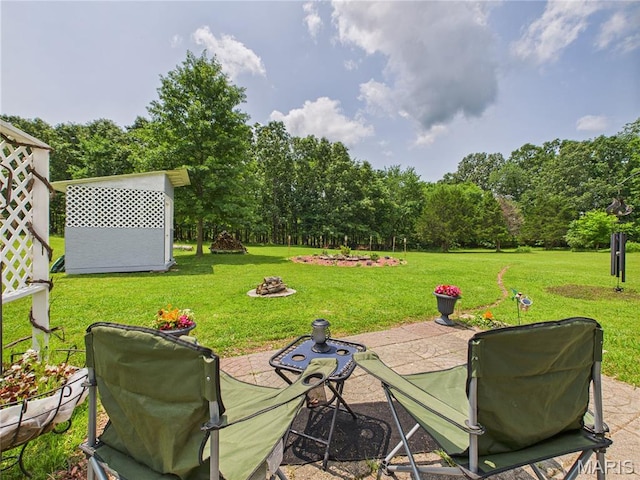 4862 State Highway 142e, Doniphan, MO 63935 - view of grassy yard with a patio