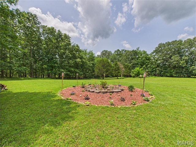 4862 State Highway 142e, Doniphan, MO 63935 - view of grassy yard